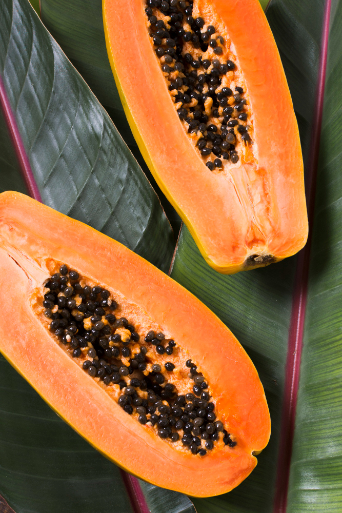 Fresh Indian Papaya - Red Lady & Taiwan Papaya